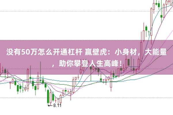 没有50万怎么开通杠杆 赢壁虎：小身材，大能量，助你攀登人生高峰！