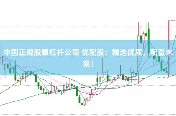 中国正规股票杠杆公司 优配股：精选优质，配置未来！