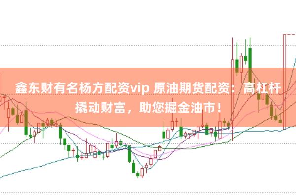 鑫东财有名杨方配资vip 原油期货配资：高杠杆撬动财富，助您掘金油市！