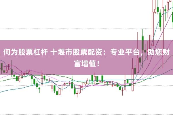 何为股票杠杆 十堰市股票配资：专业平台，助您财富增值！