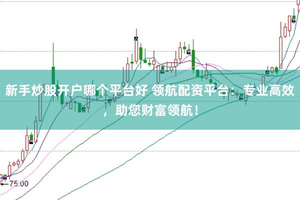 新手炒股开户哪个平台好 领航配资平台：专业高效，助您财富领航！