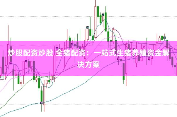 炒股配资炒股 全猪配资：一站式生猪养殖资金解决方案